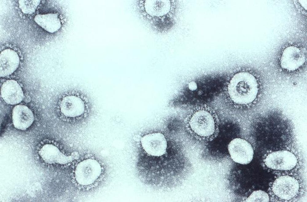 Pandemia